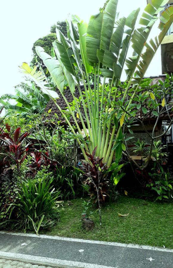 Dewa Put Guest House Ubud  Exterior photo